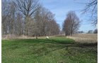 Property photo 140 - REAL ESTATE & PERSONAL PROPERTY AUCTION, 140 Acres offered in 8 Tracts or Combinations in Steuben County